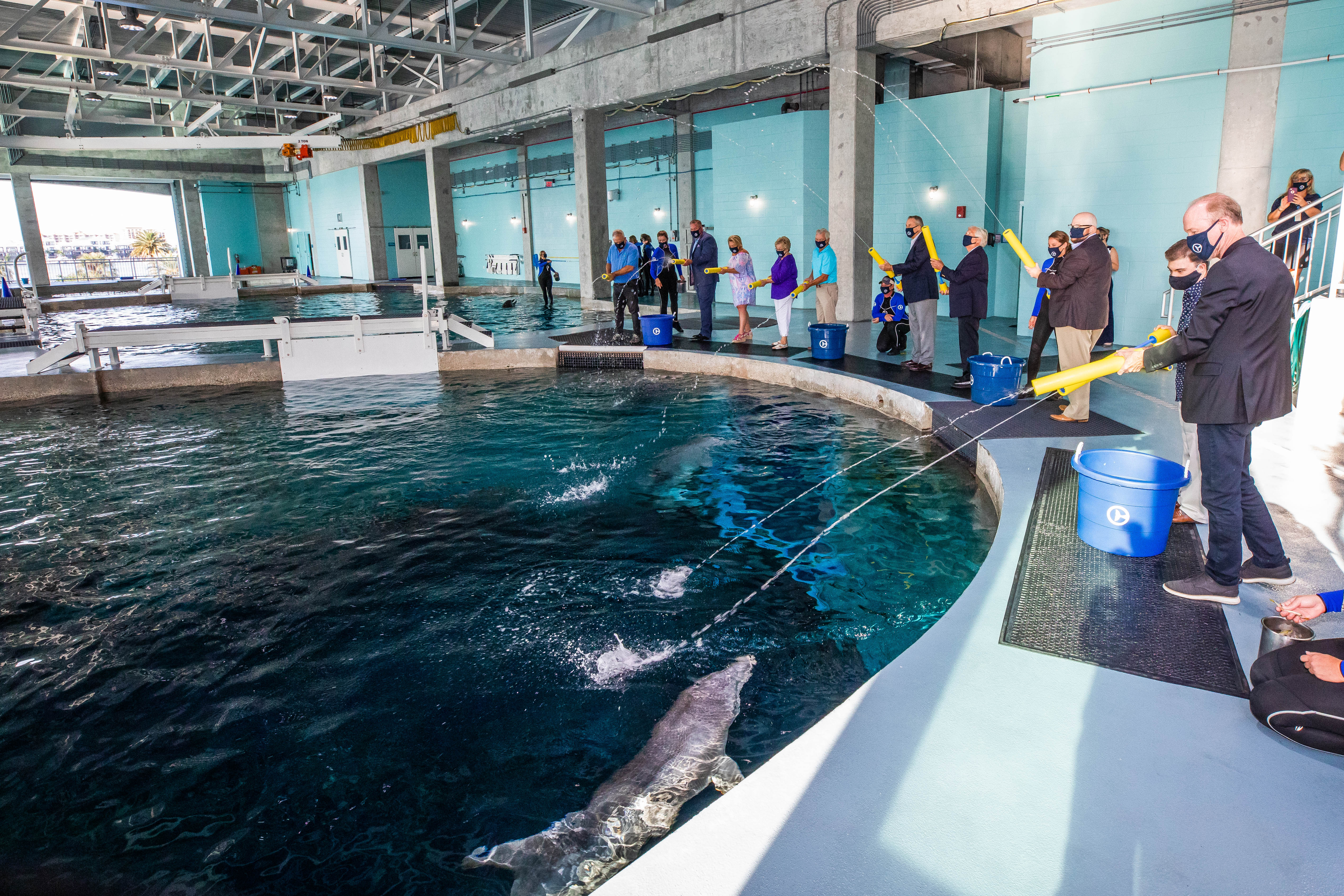 Stone Dolphin Complex Webcam 1 - Pool 1 - Clearwater Marine Aquarium