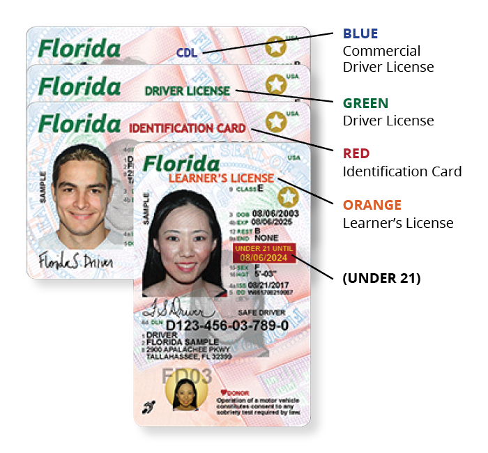 licence check florida