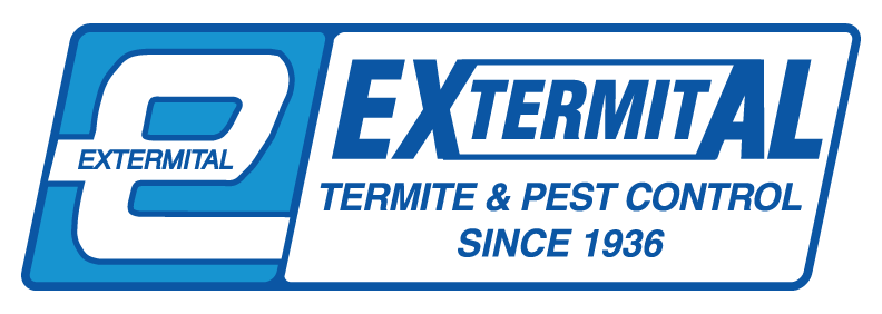 Extermital Termite and Pest Control
