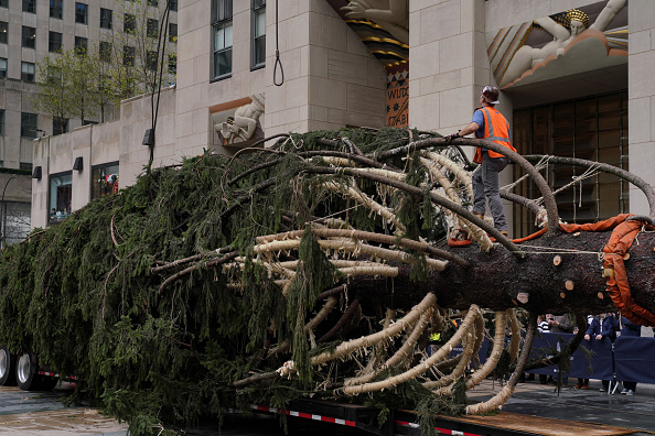 It's here! 2022 Rockefeller Center Christmas tree arrives in NYC