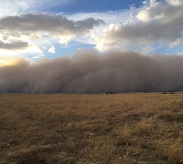 Video shows massive 'dust tsunami' over the Texas panhandle WDBO