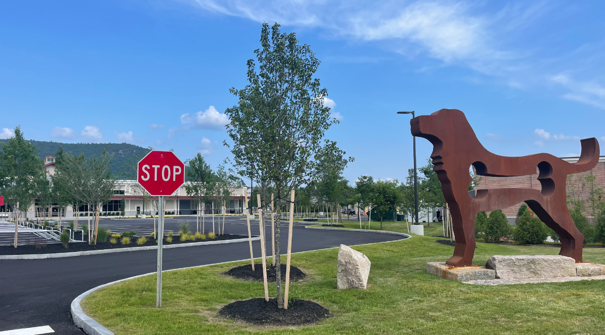 Construction starts on Topsham Market Basket