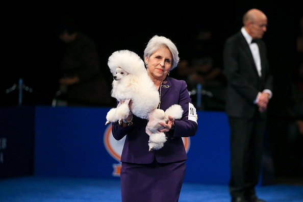 PETA blasts 'shameful' National Dog Show whose best-in-show winner