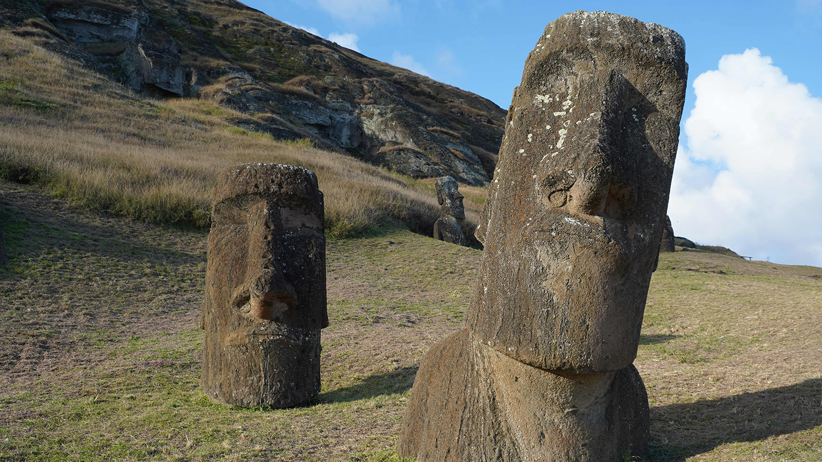 Sus Rock Stone Statue Head