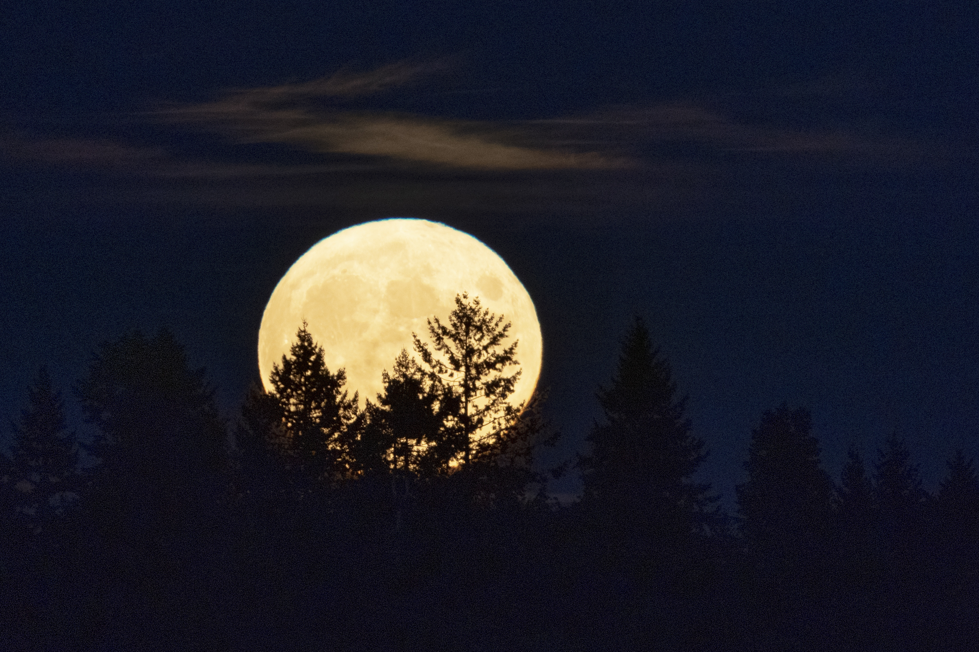 Harvest Moon: Where and When to See the Full Moon in 2021