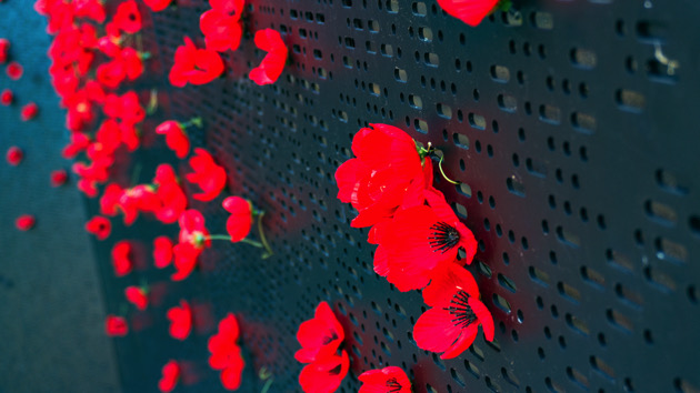 Poppy Wall of Honor returns to National Mall for Memorial Day