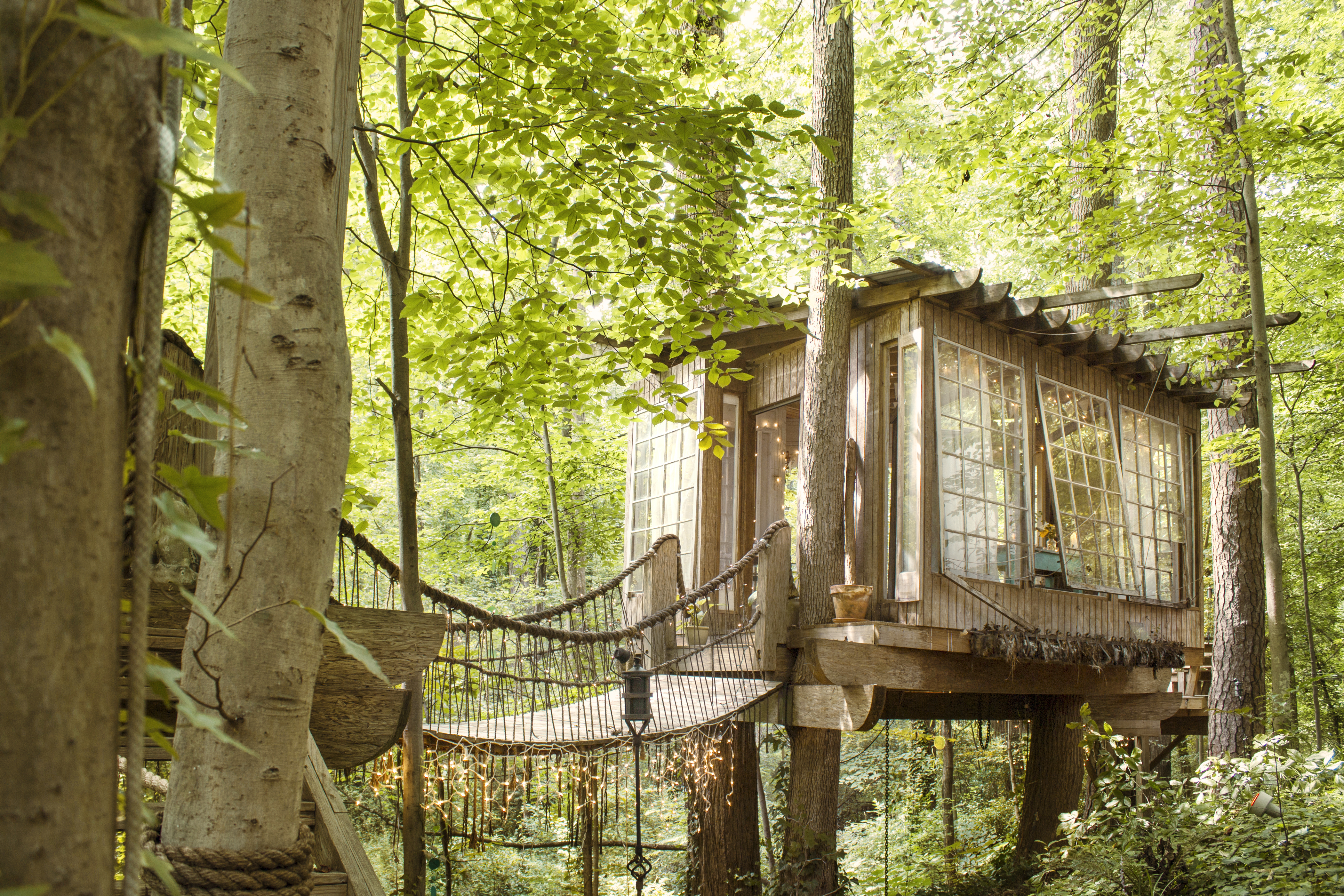 Atlanta treehouse tops most wish-listed Airbnb in Georgia – WSB-TV Channel  2 - Atlanta