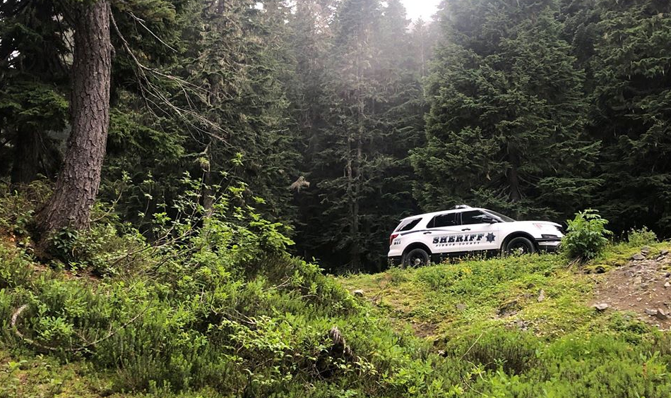 Man missing after SUV crash off cliff near Mount Rainier found safe