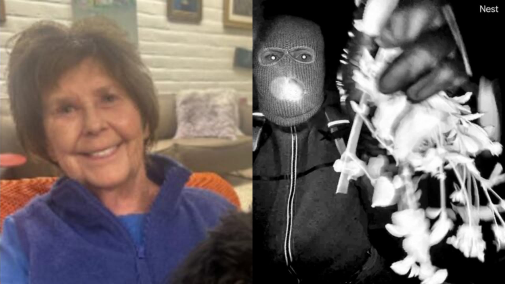 What to know about Nancy Guthrie's kidnapping and the race ...