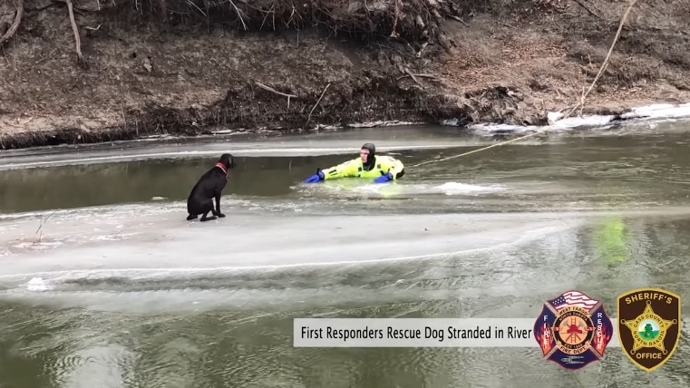 First responders rescue dog stranded on chunk of ice on North Dakota ...