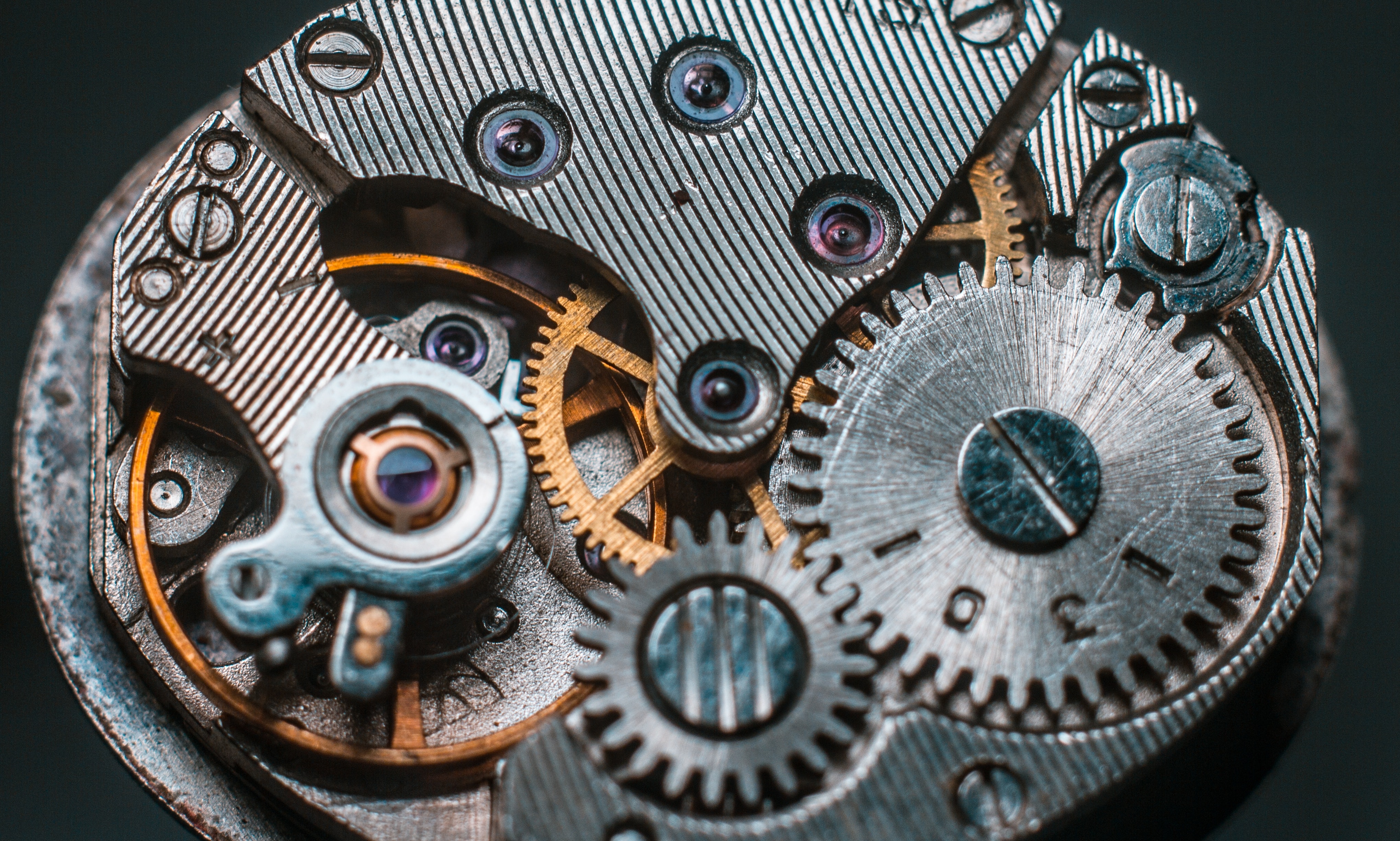 Gear Technologies Raises $12M to Boost Smart-Contract Development on Polkadot