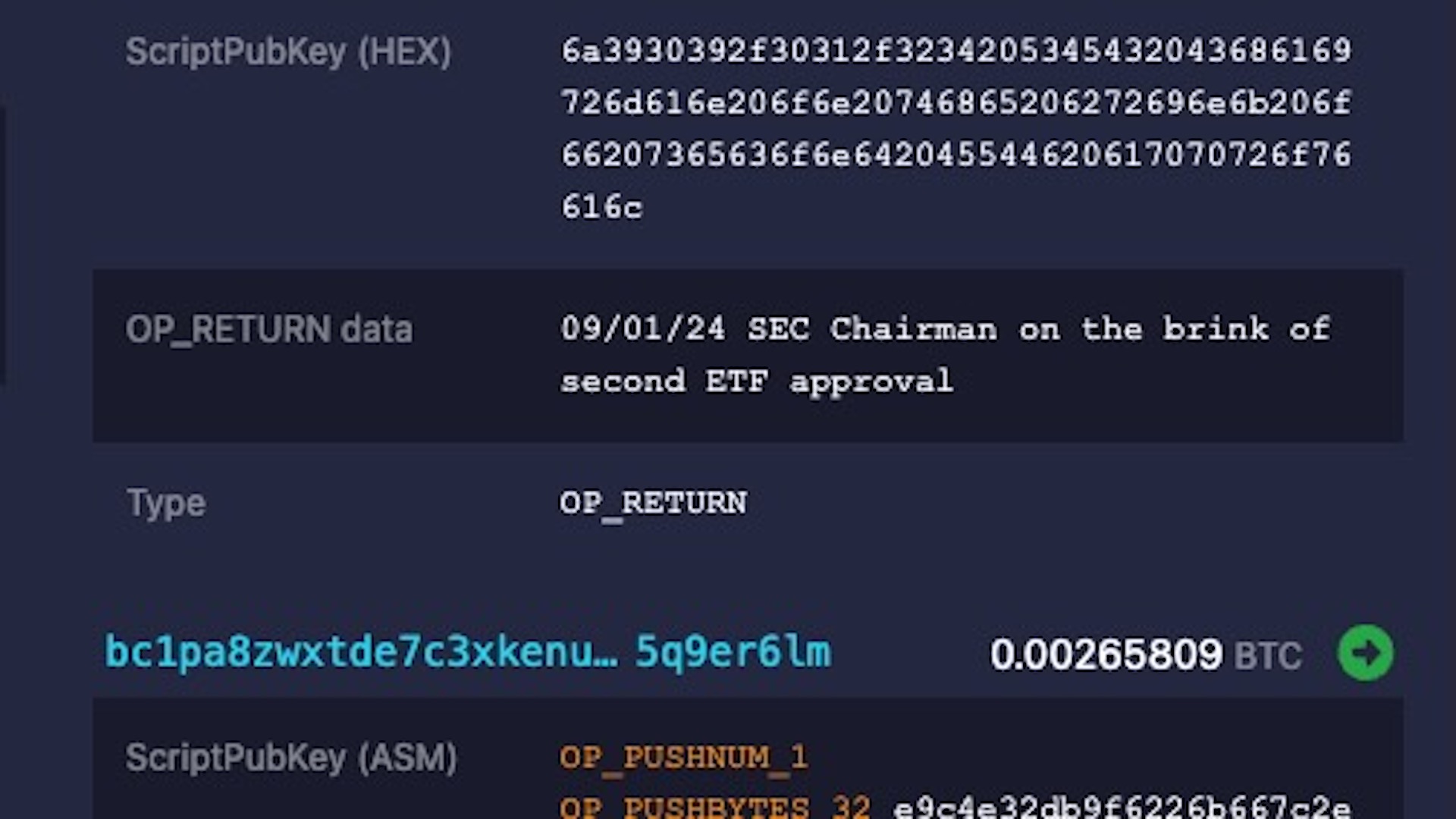 Screen grab from Bitcoin transaction showing the line embedded using the OP_RETURN function, "SEC Chairman on the brink of second ETF approval." (Mempool.space)