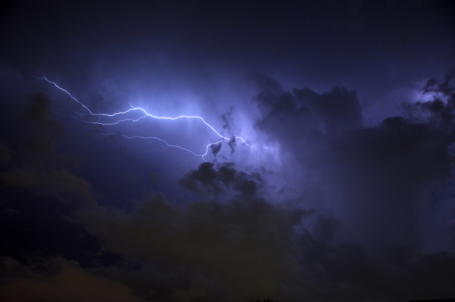 The Code for an Anonymous Lightning Network is Now Live - CoinDesk