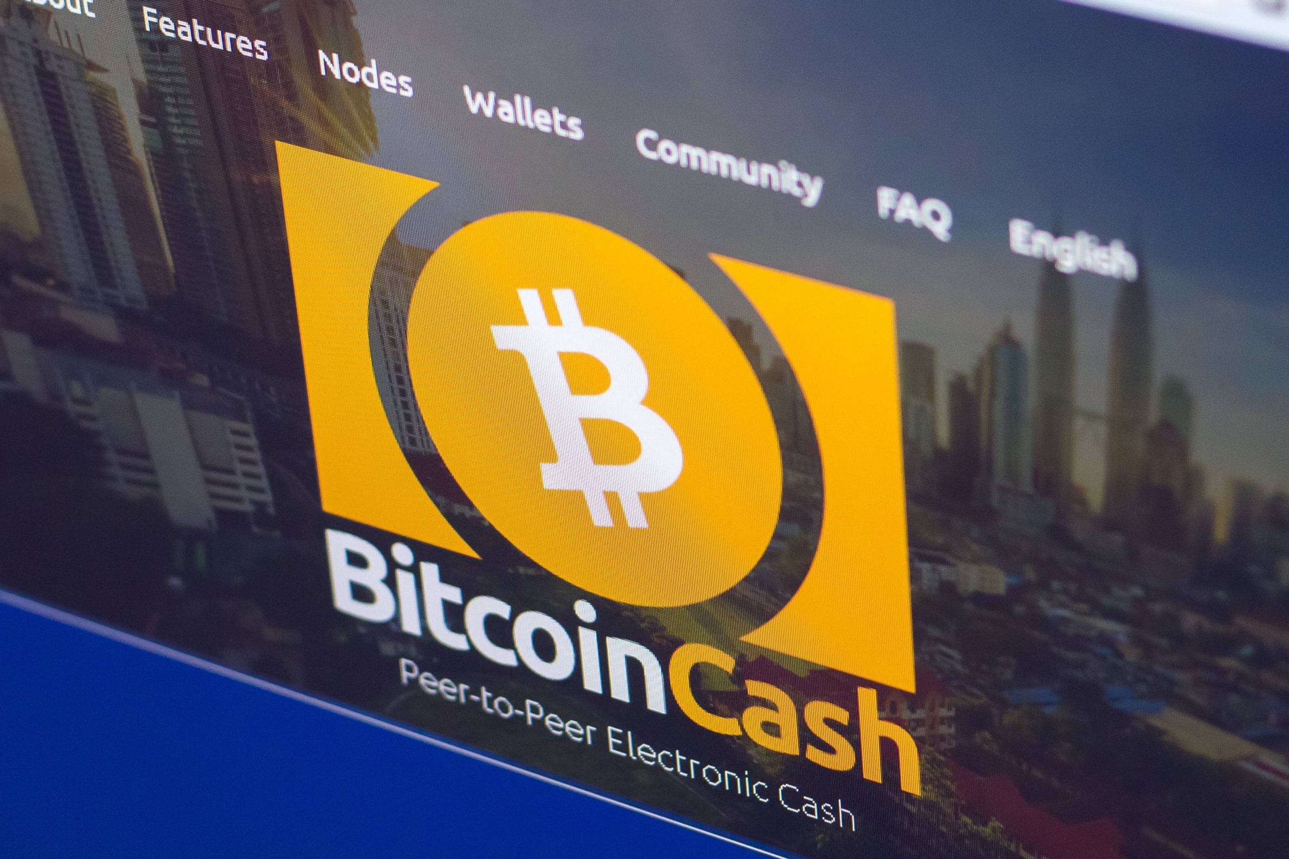 Bitcoin cash blockchain bigpay