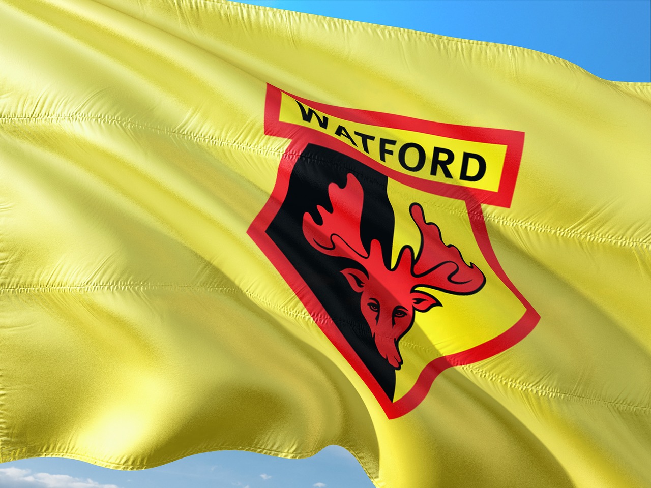 Watford Fc Sports Dogecoin Logo In Sponsorship Deal Worth Almost 1m