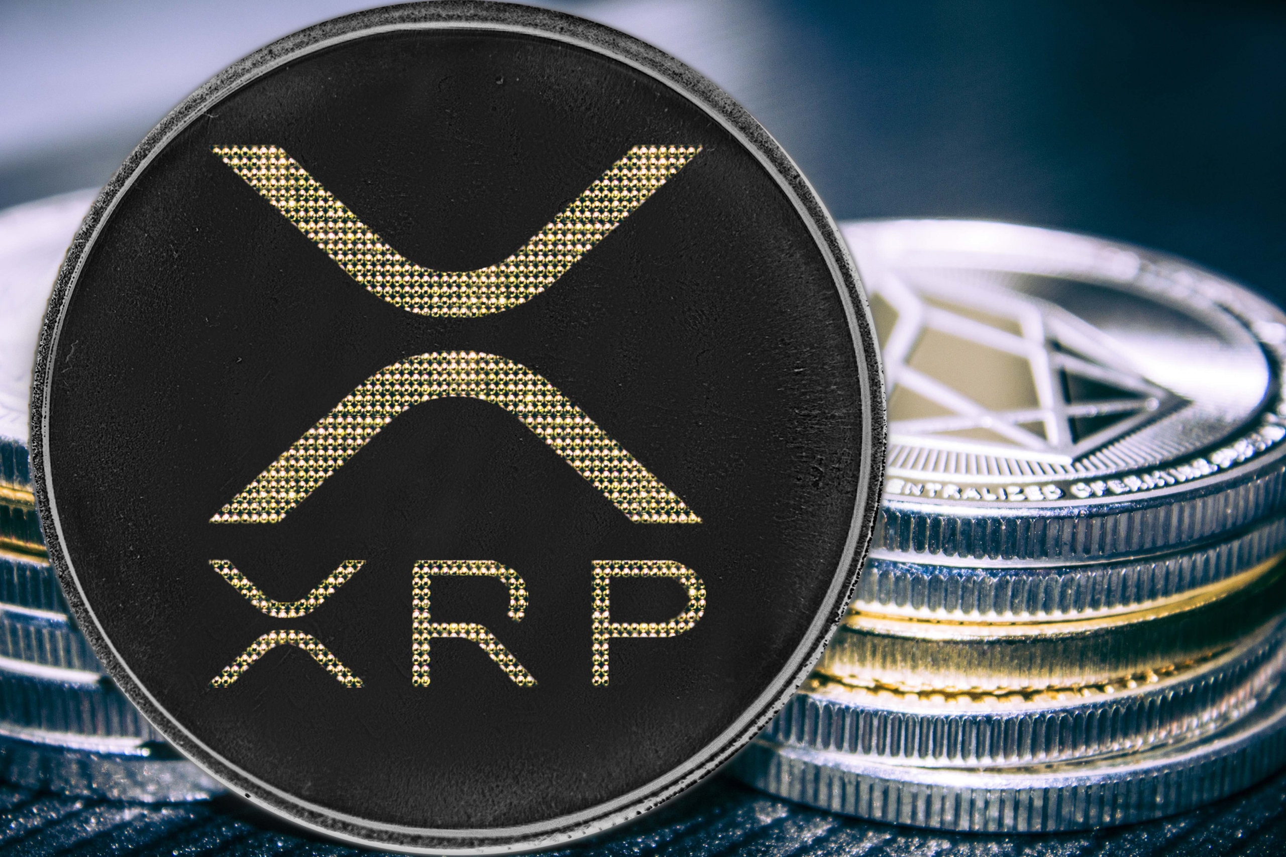 Xpr bitcoin warren buffet on crypto currency