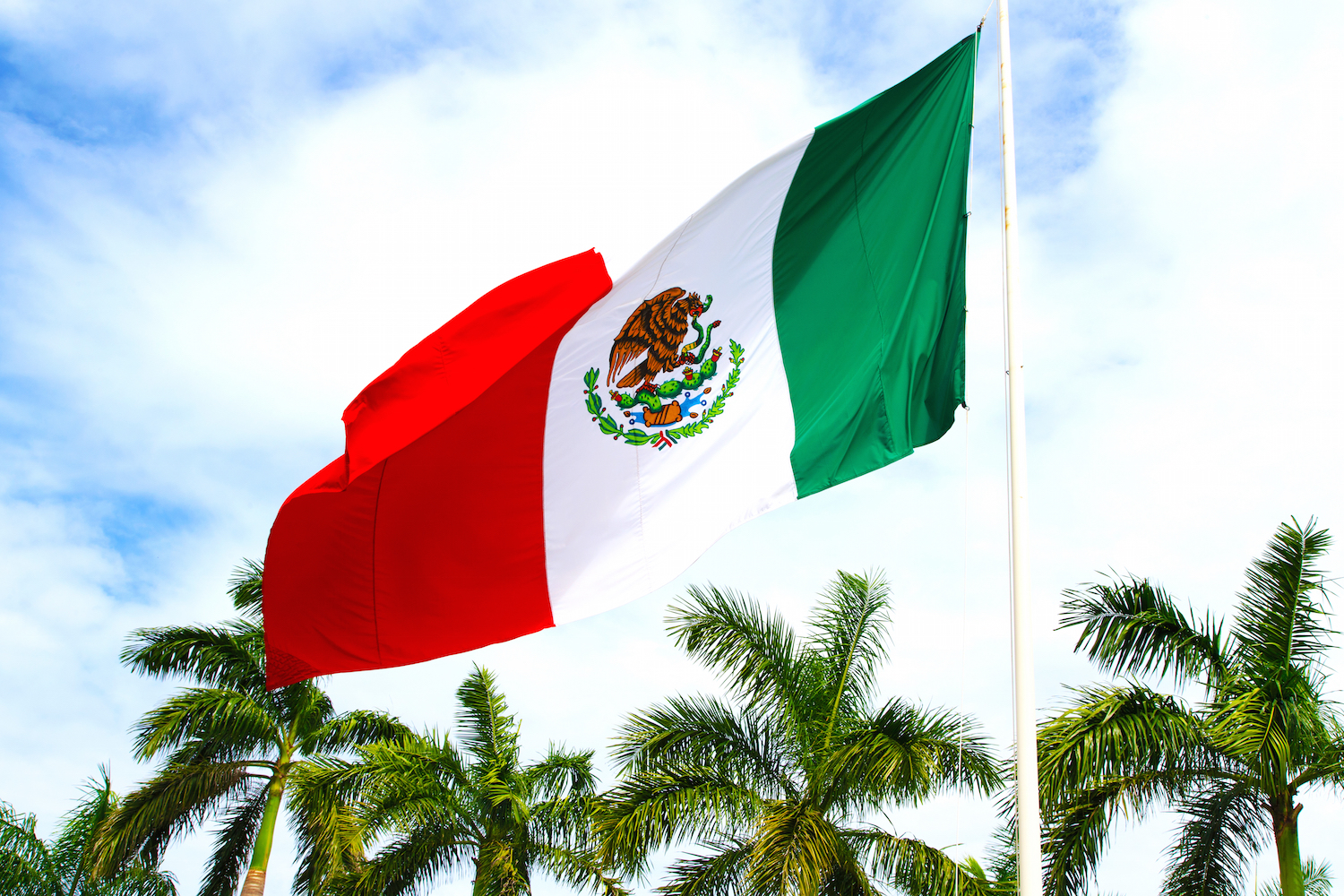Gobierno de México confirma que planea emitir una moneda digital para 2024