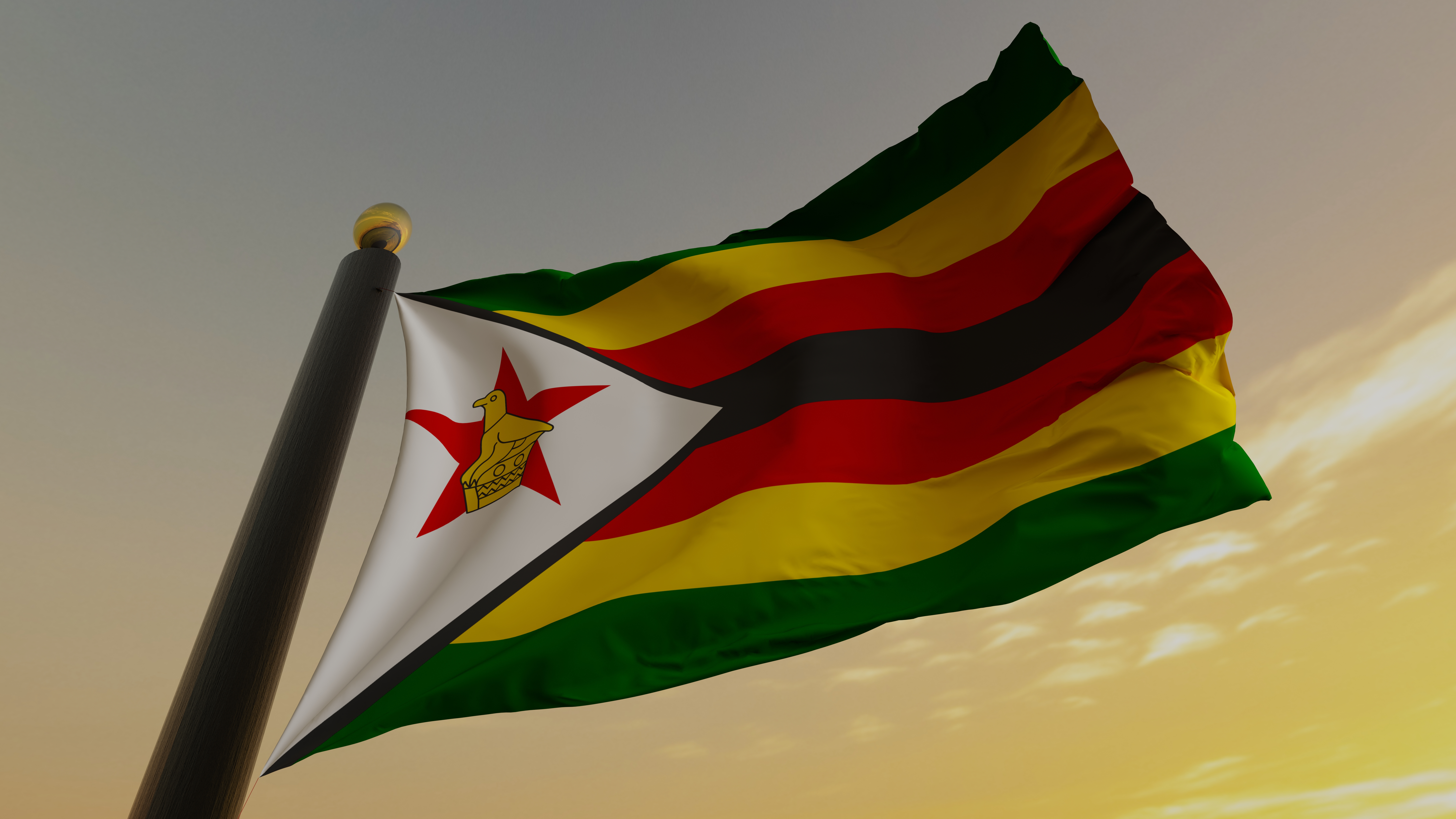 Zimbabwe's new gold-backed digital currency: All you need to know