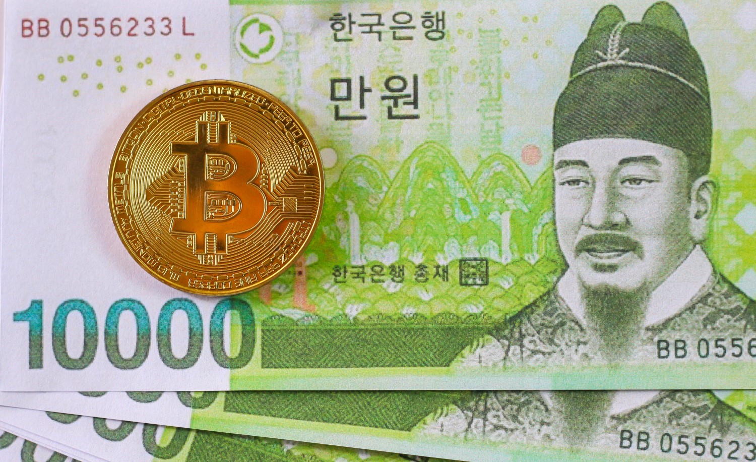 How much is bitcoin cash in korea курсы обмена биткоин в миассе