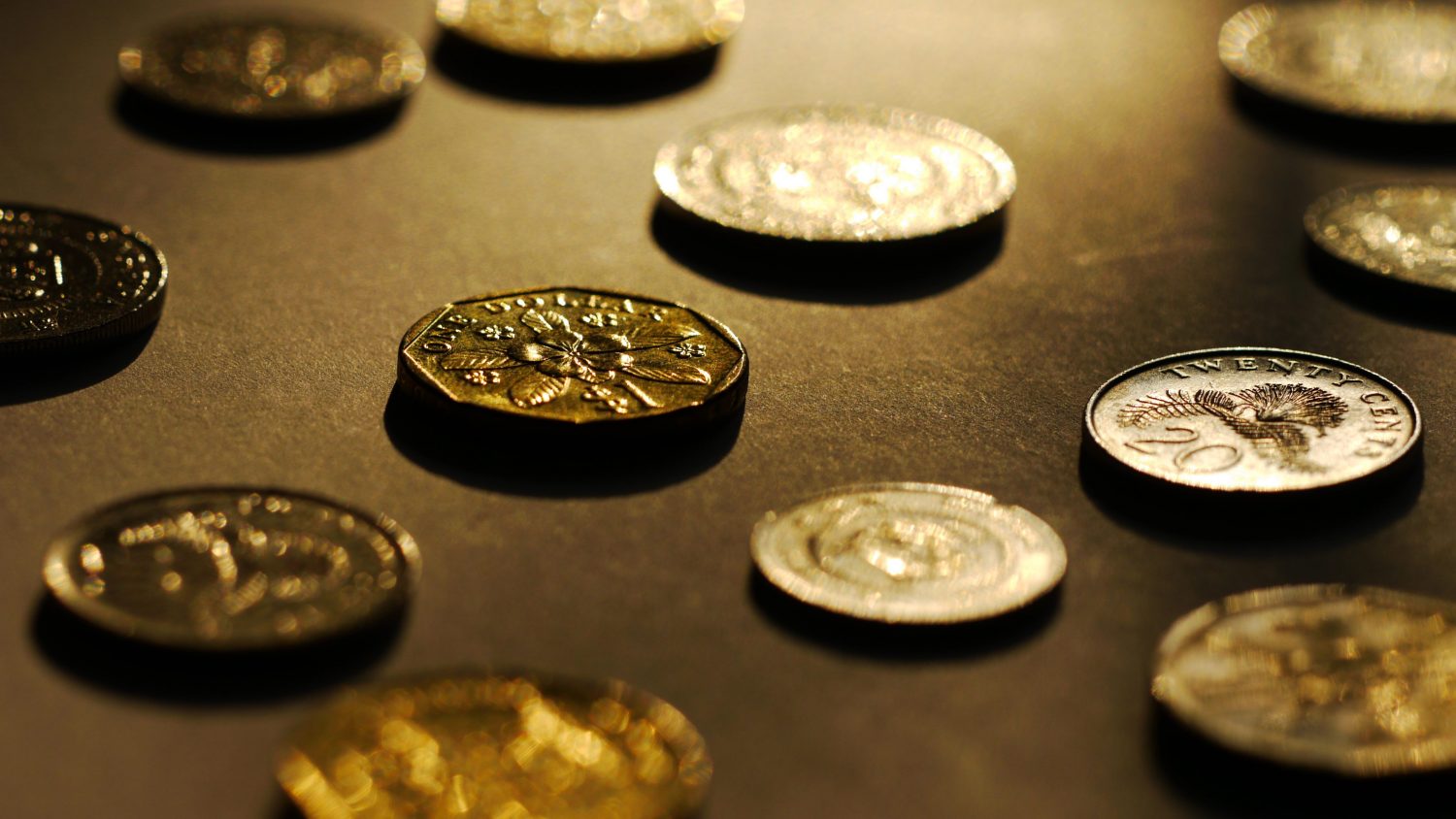 Bitcoin cash tokens or как биткоин зарабатывает деньги