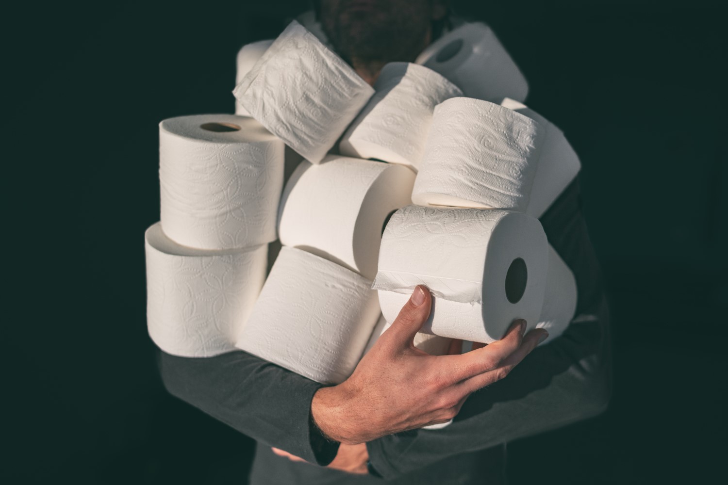 toilet paper coin crypto