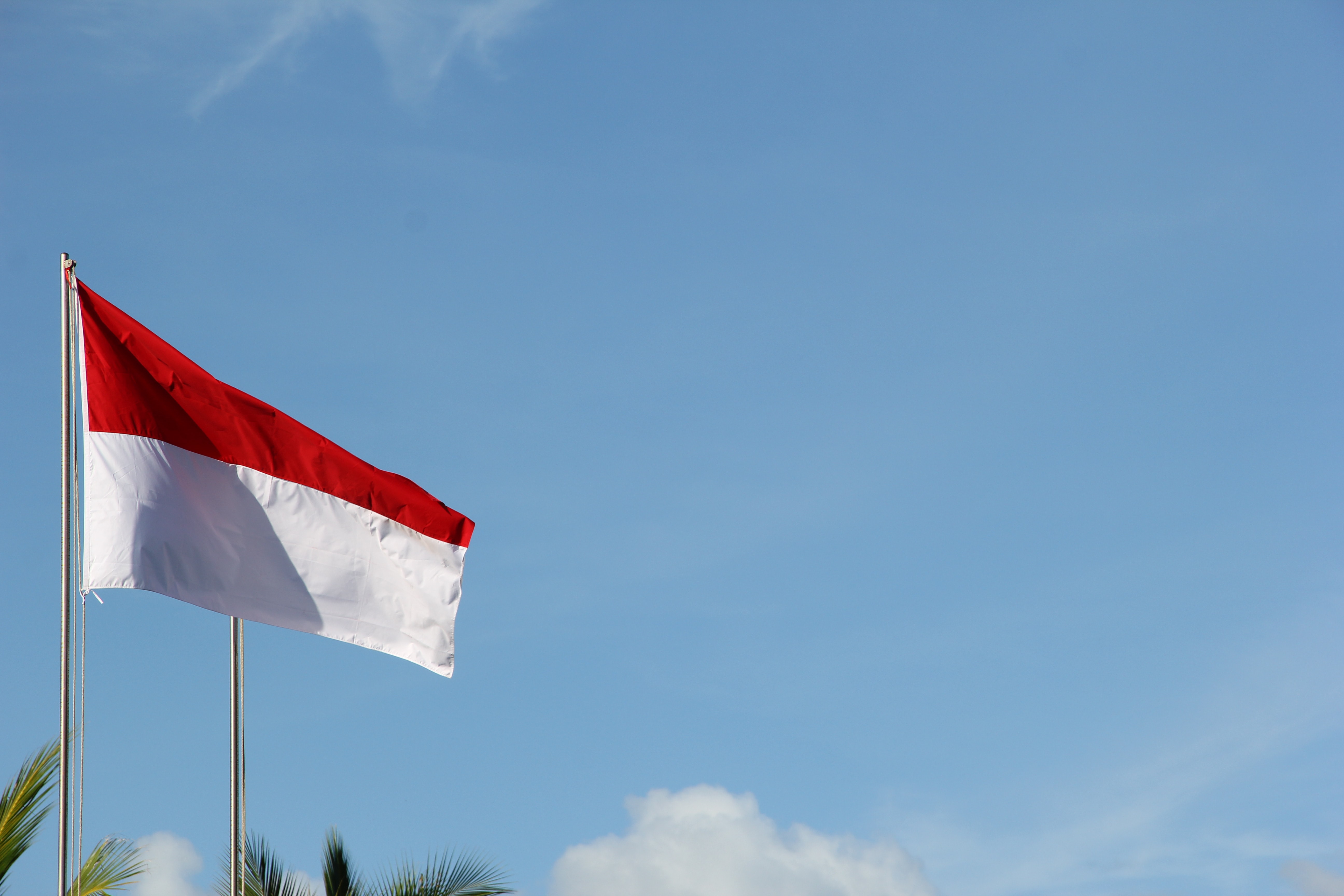 Binance in Talks With Indonesian Heavyweights for Crypto Venture: Report
