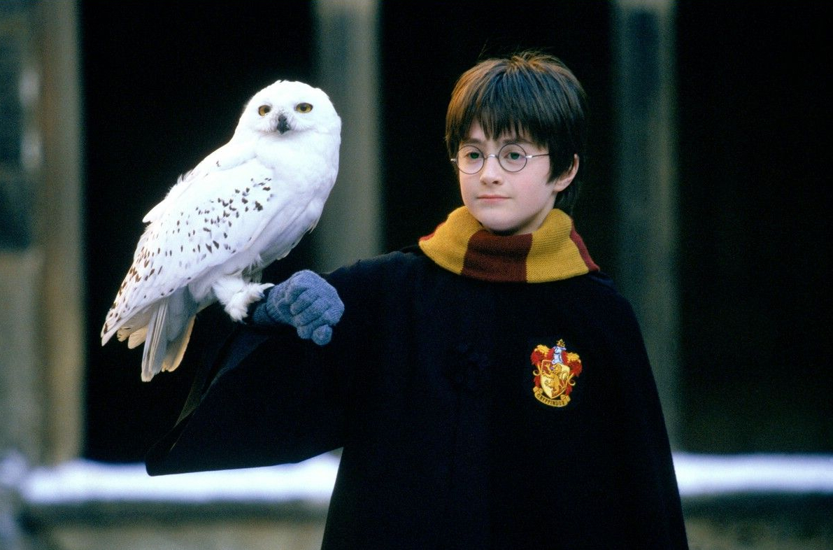 Yo siempre esperé a la lechuza de Harry Potter. Estaba claro. –  TierraDeAires