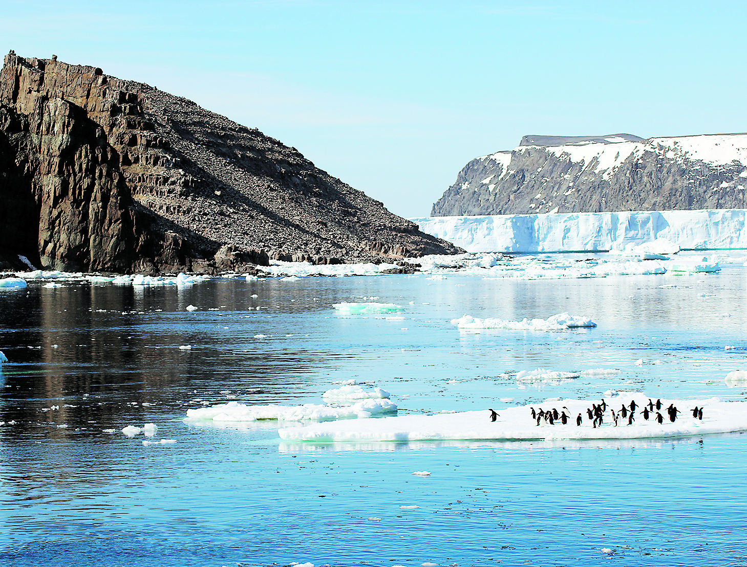 ANTARTICA-ENVIRONMENT-PENGUIN