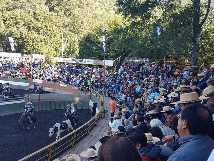 rodeo