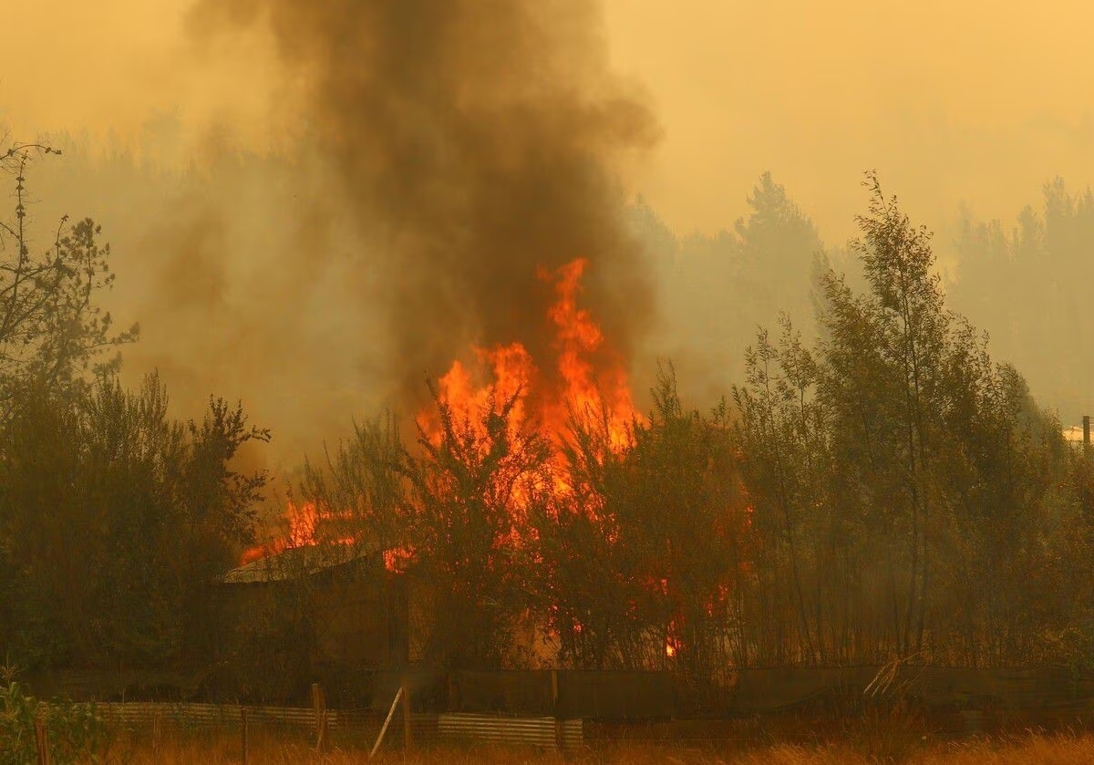 Sólo uno en prisión preventiva, en su mayoría del Bio Bío y casi todos hombres: ¿Quiénes son los sospechosos por los incendios?