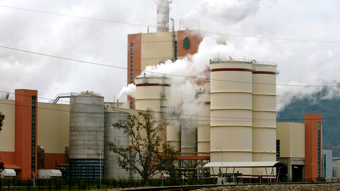 Caída en los precios de la celulosa por crisis del coronavirus golpea los resultados de forestal Arauco