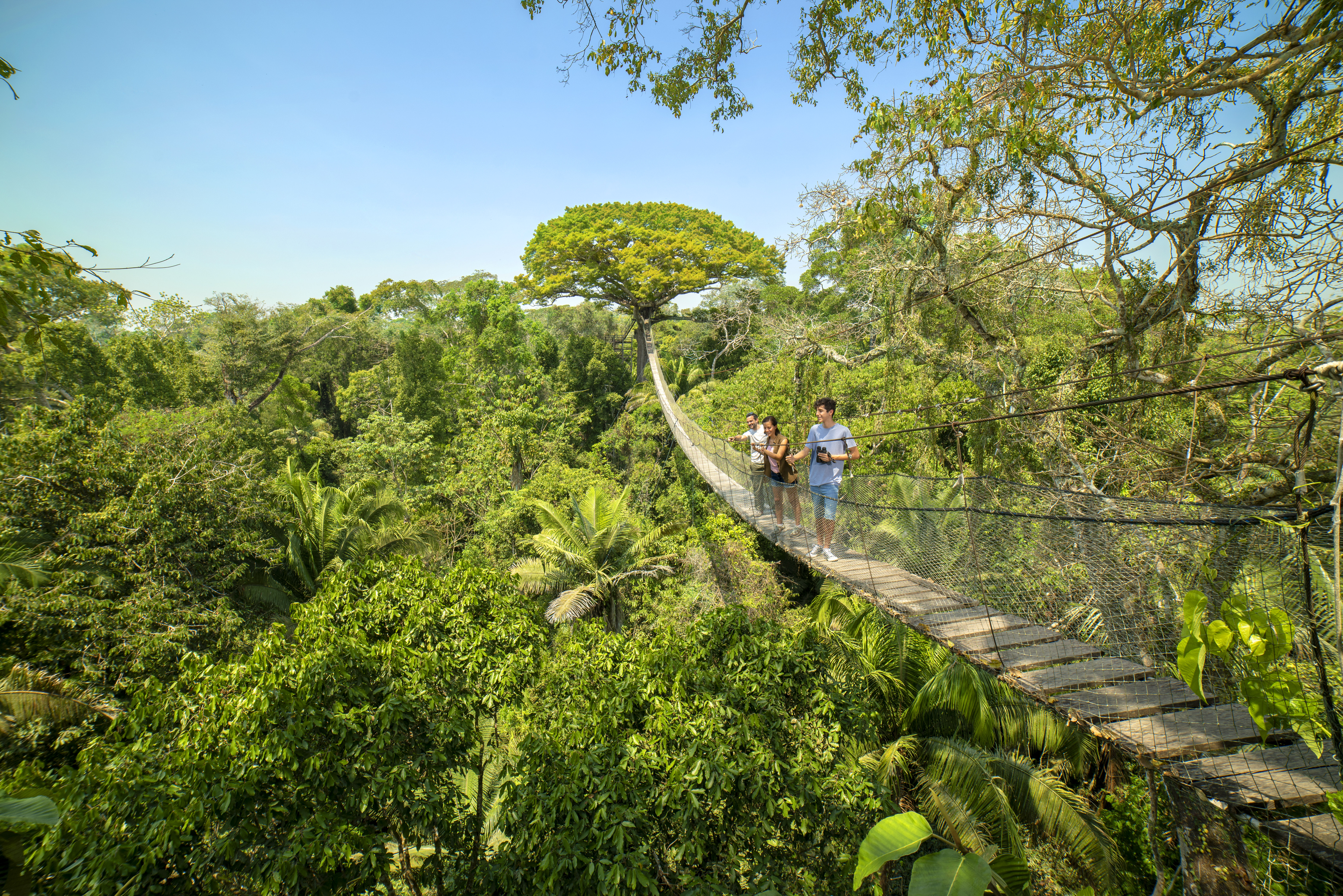 10 experiencias para conocer el corazón de la selva amazónica peruana - La  Tercera