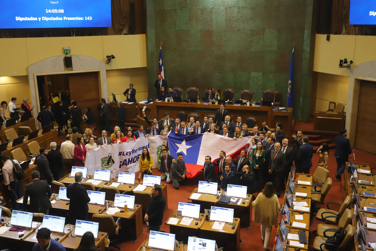 Votación Ley Nain-Retamal