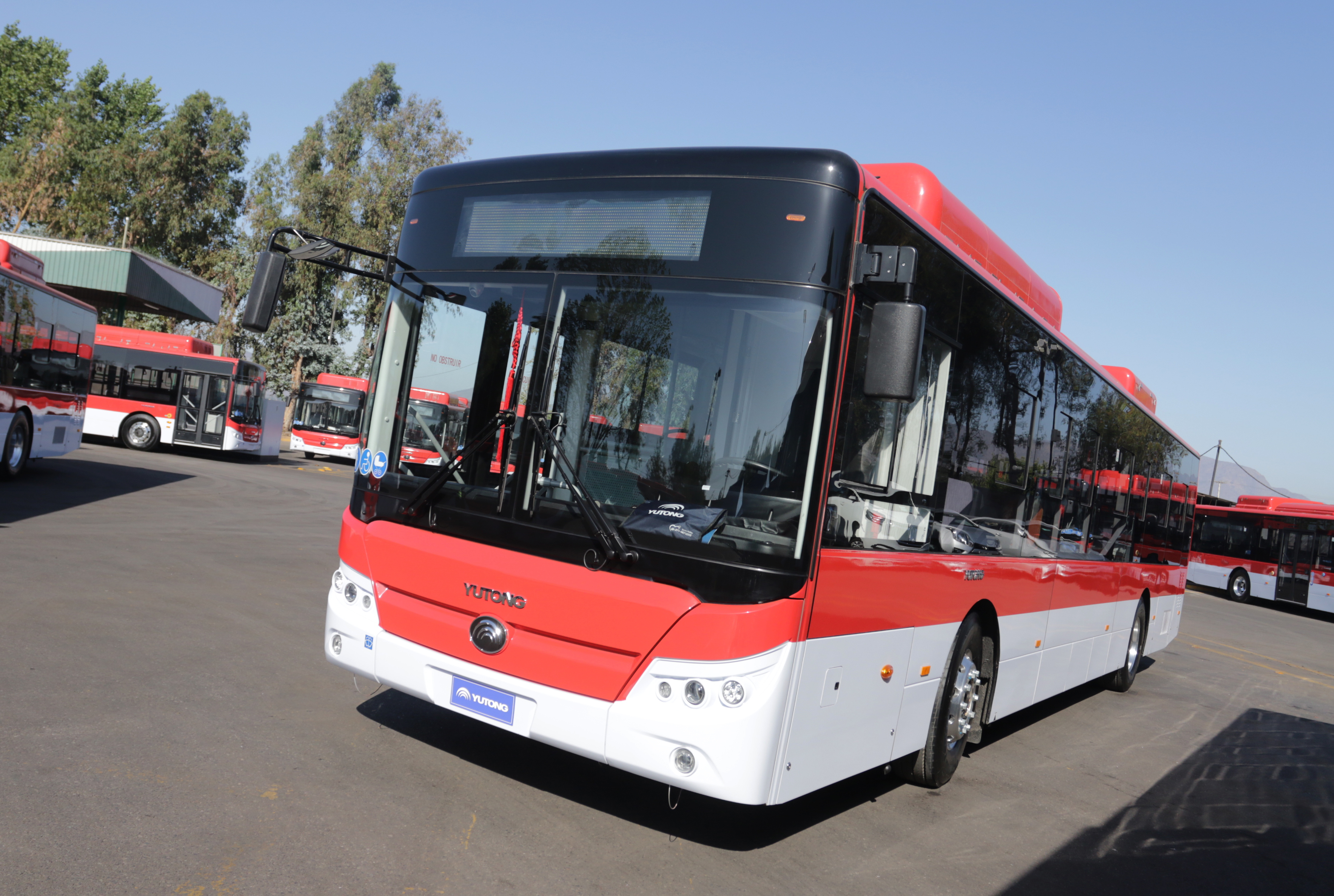 Buses Eléctricos