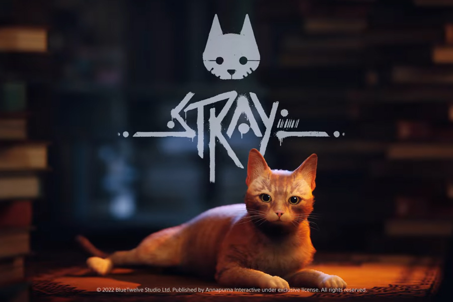 Artista Pebish Educación moral Stray, el juego en el que eres un gato se vuelve todo un éxito, y supera  los 60 mil jugadores en Steam - La Tercera