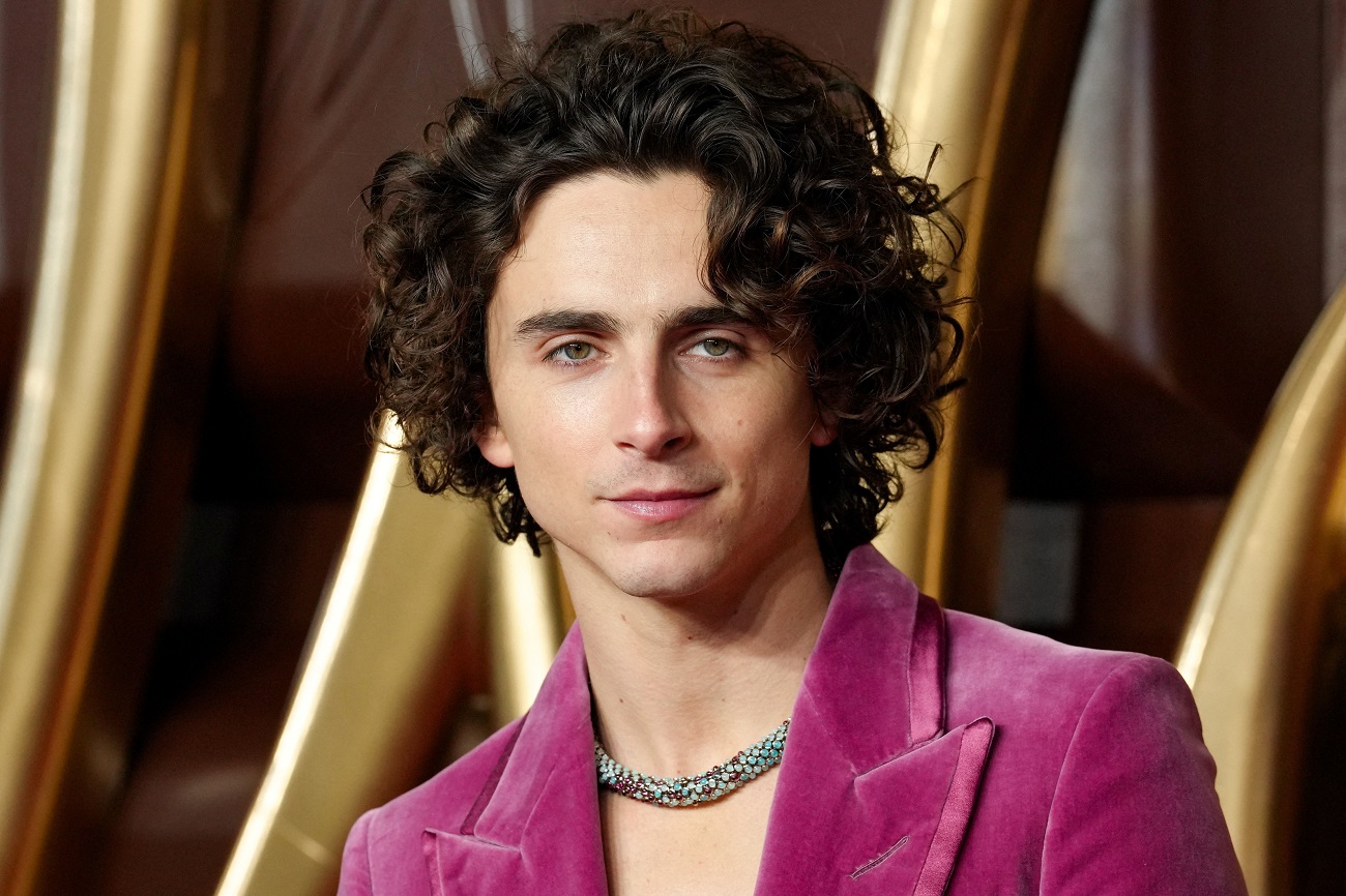 Timothée Chalamet: el diamante de Hollywood - La Tercera