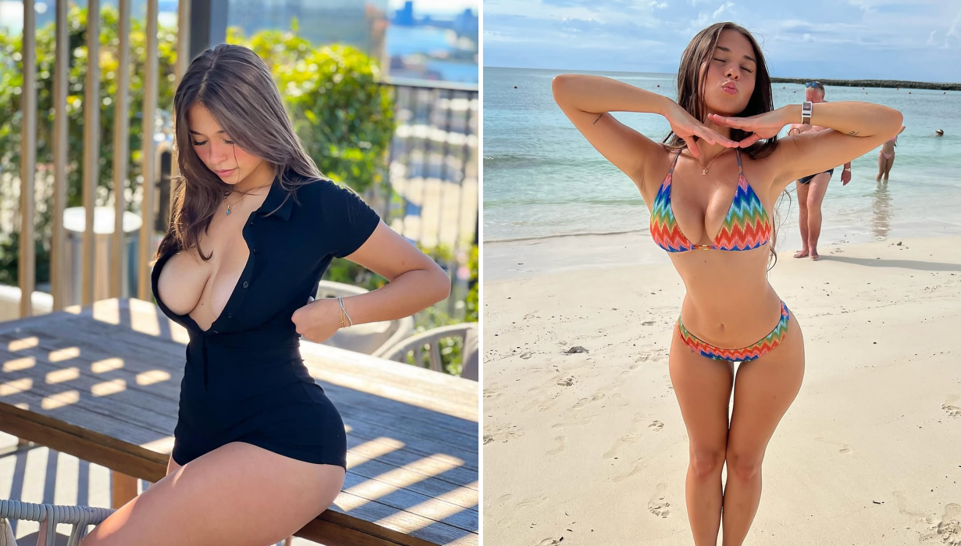 ビカクシダ P.willinckii Anita Alvarado ビカクシダ P.willinckii Anita Alvarado P.Willinckii Anita