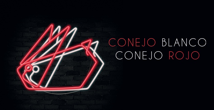 CONEJO 1