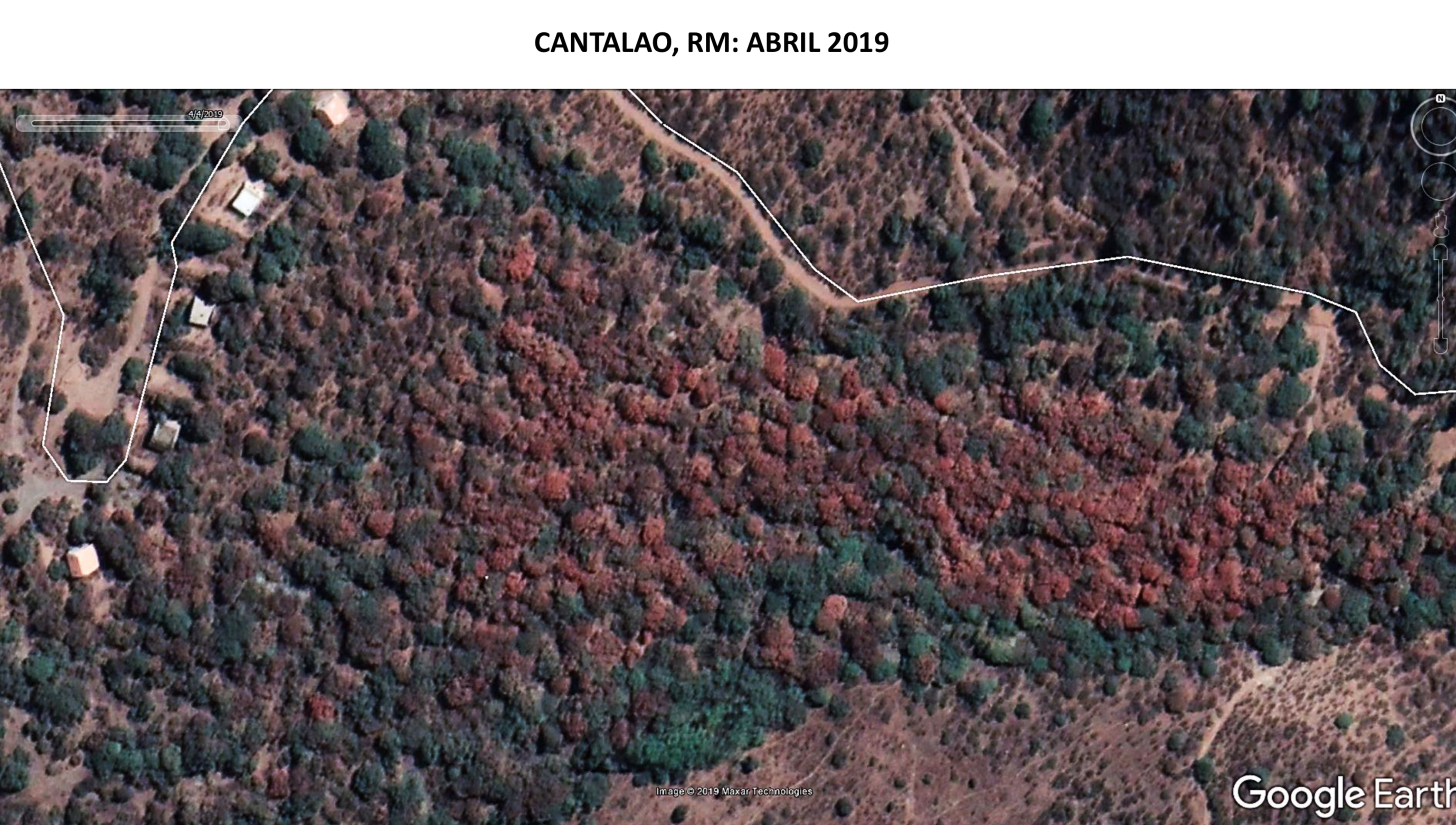 3 Parque Natural Cantalao, RM, abril 2019