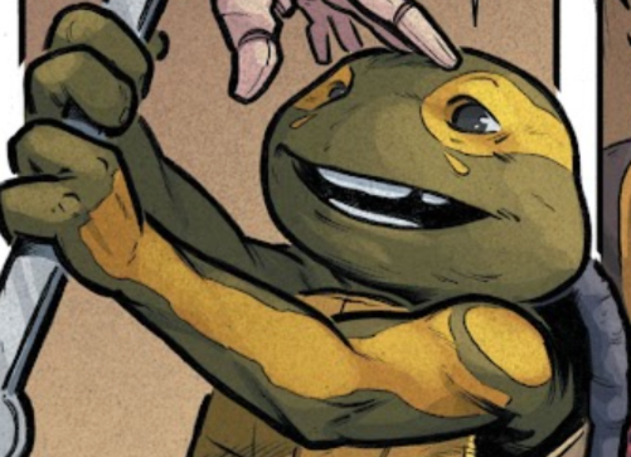Las Tortugas Ninja vuelven con una nueva serie de El último Ronin - Tomos y  Grapas