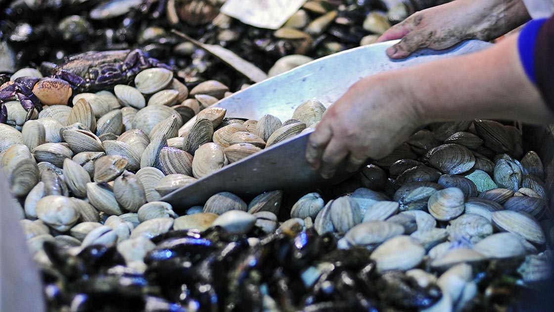 Cientos de personas comprando mariscos y pescado en el Mercado Central