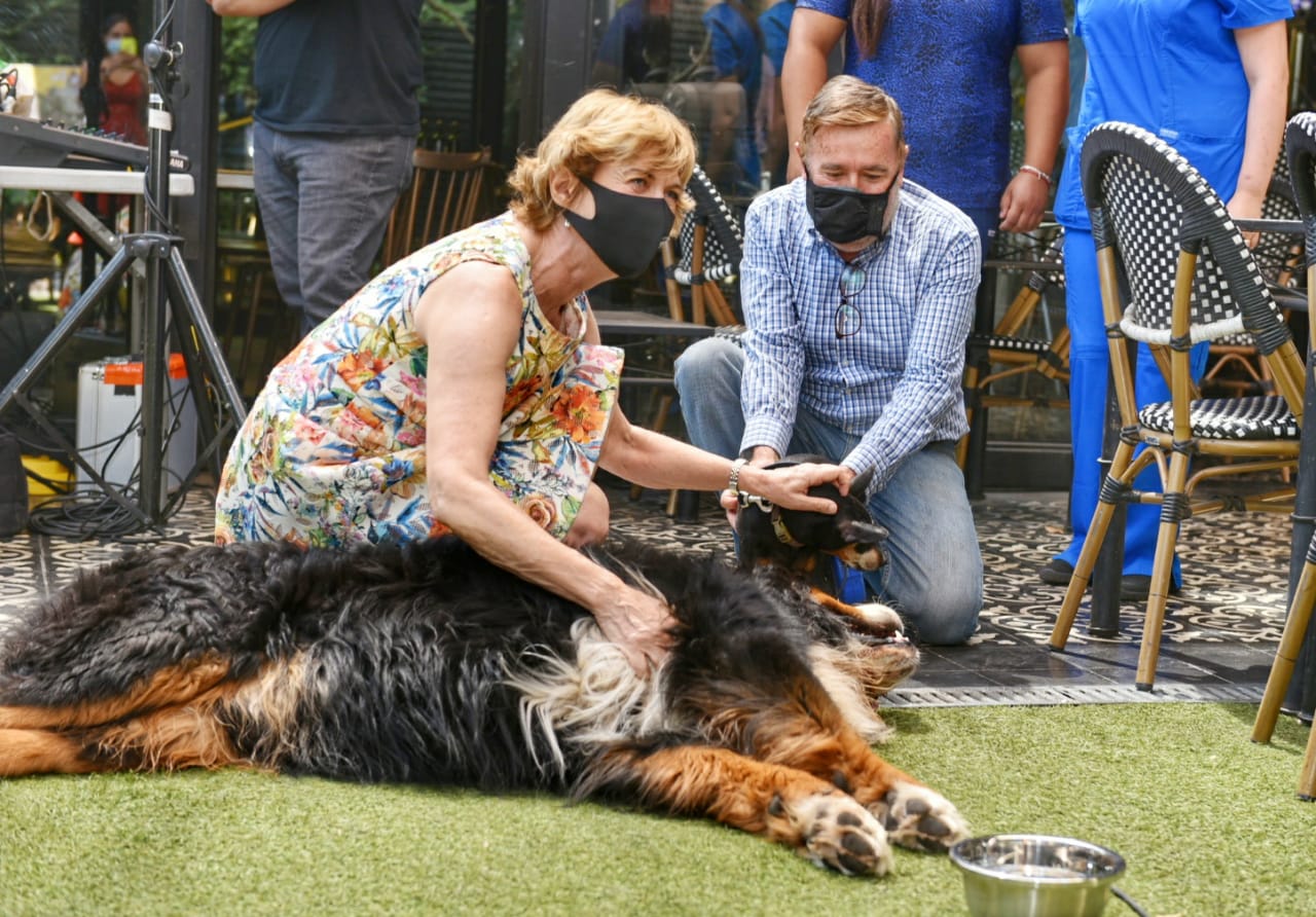 Alcaldesa de Providencia, Evelyn Matthei.