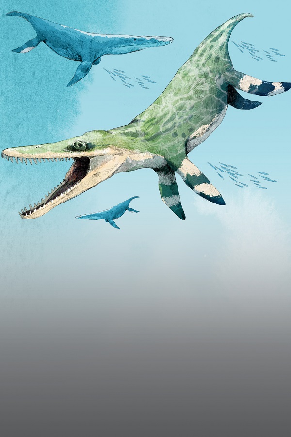 Siete metros y una mordida más poderosa que la de un tiranosaurio rex:  descubren en el norte colosal reptil marino de la era de los dinosaurios -  La Tercera