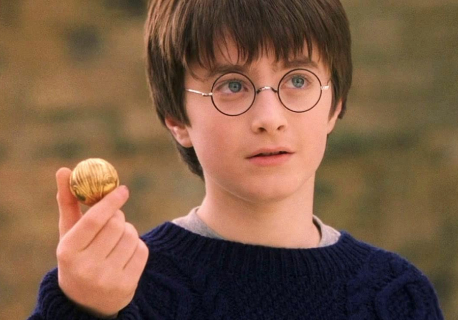 Harry Potter Y La Piedra Filosofal