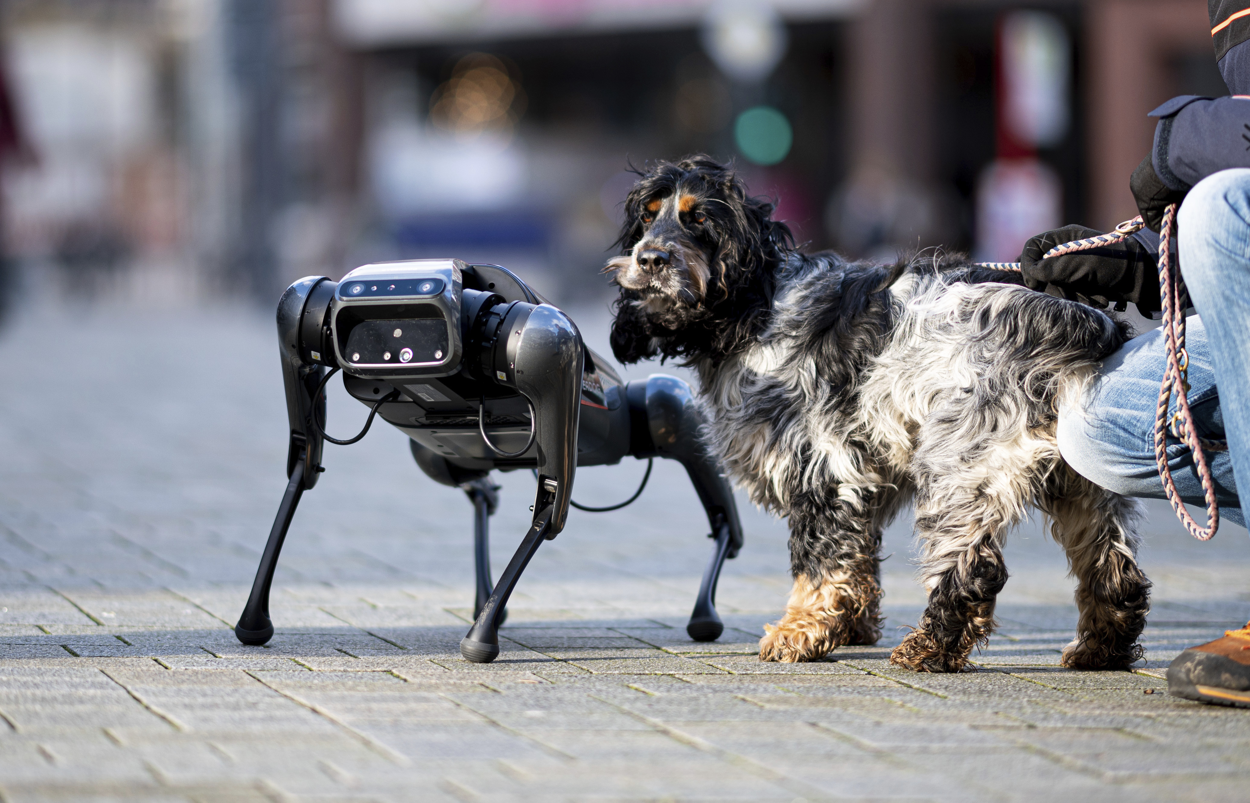 El perro robot de Boston Dynamics ahora habla y responde preguntas