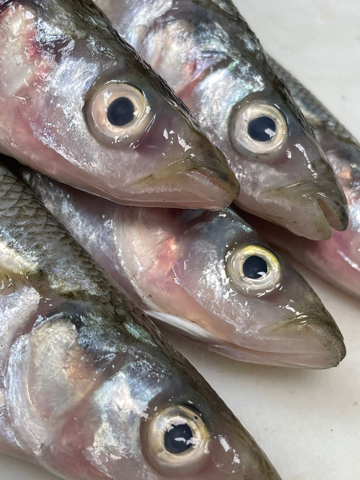 Pescados y mariscos a la puerta de la casa - La Tercera