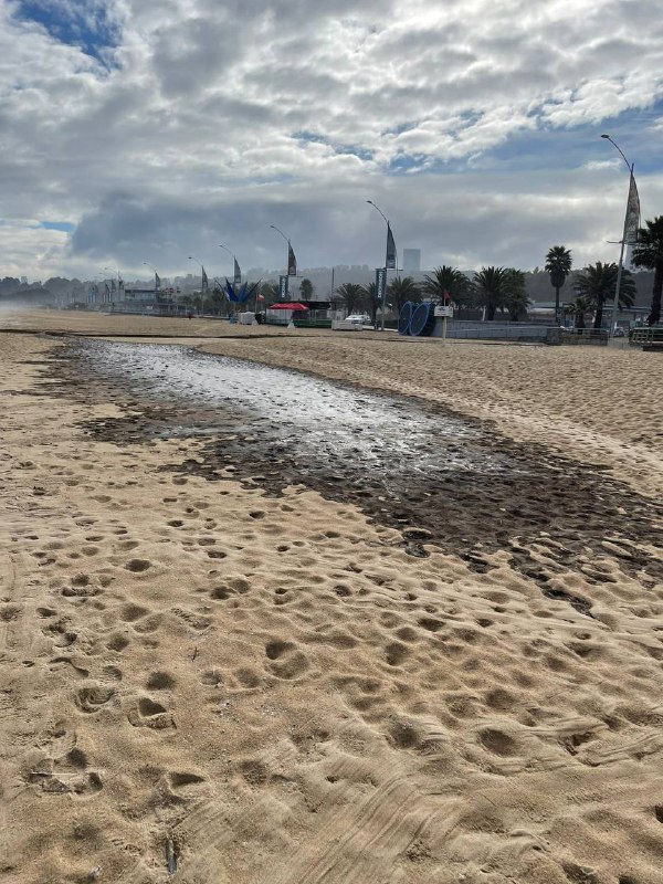 La Municipalidad de Viña del Mar indaga la presencia de hidrocarburos en la arena del sector Las Salinas.