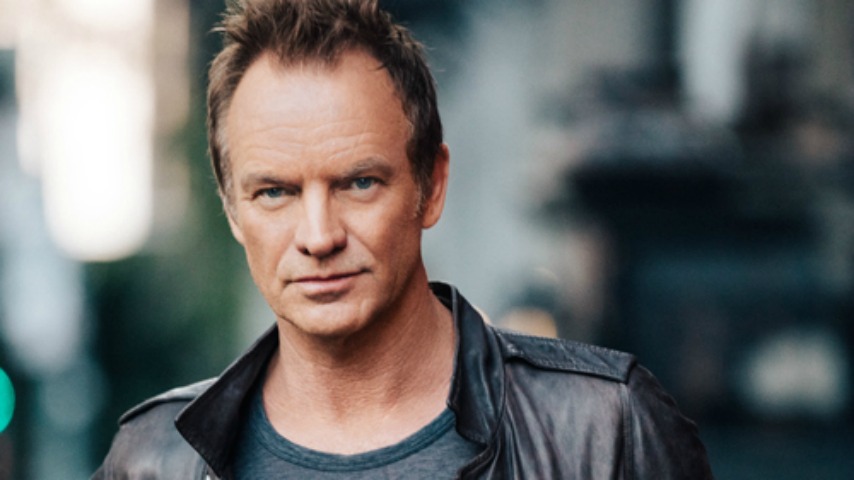 sting-low-ok