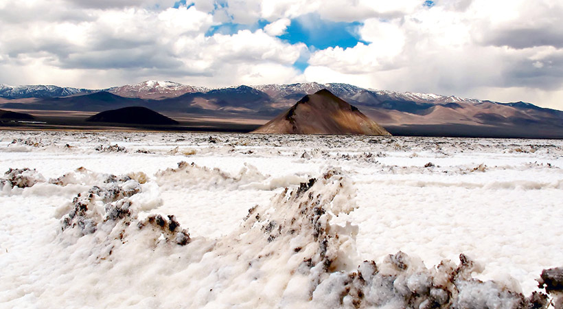 imagen-salar-de-maricunga-05