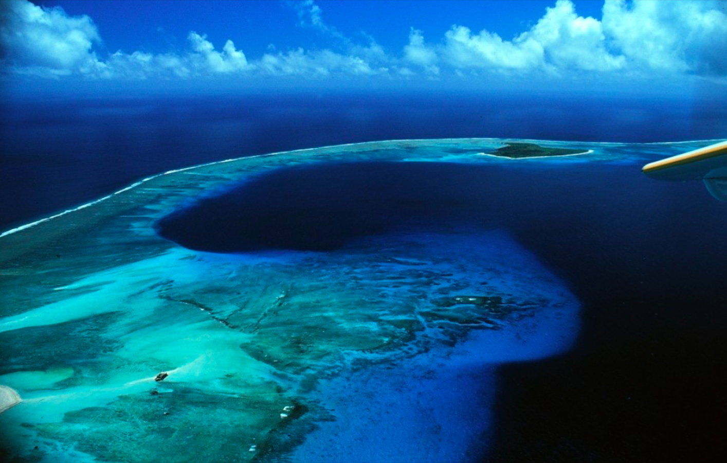 El refugio marino de Atol n Bikini La Tercera